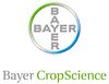 Bayer